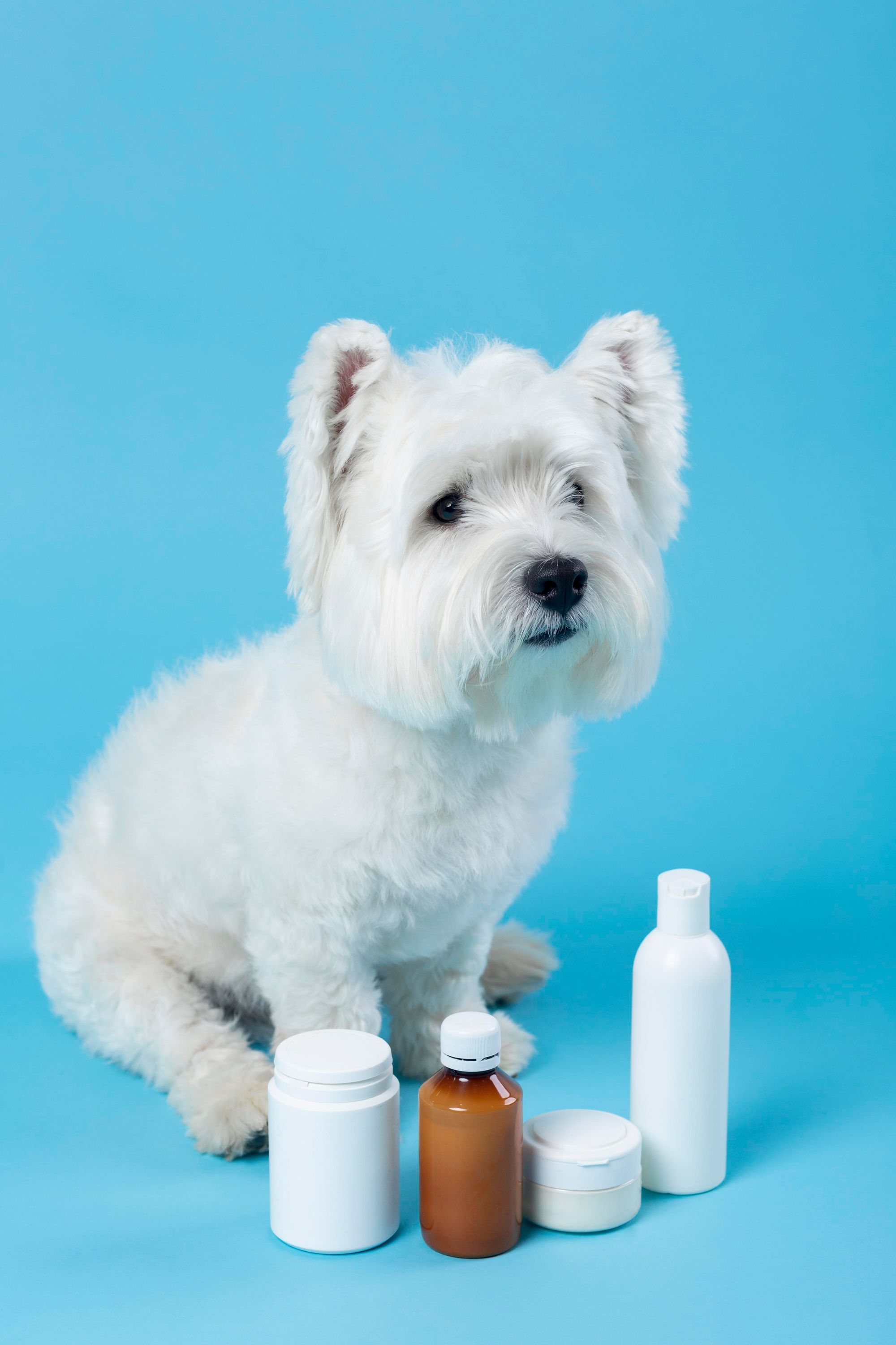 5 Best Shampoos to Keep Your Cute Puppies Clean and Healthy